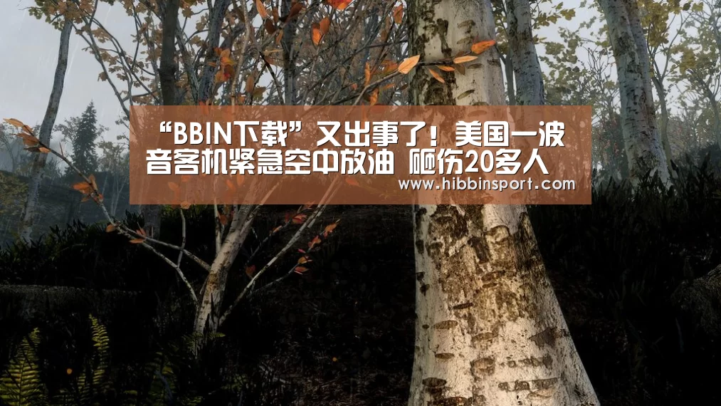 “BBIN下载”又出事了!美国一波音客机紧急空中放油 砸伤20多人(图1) BBIN入口