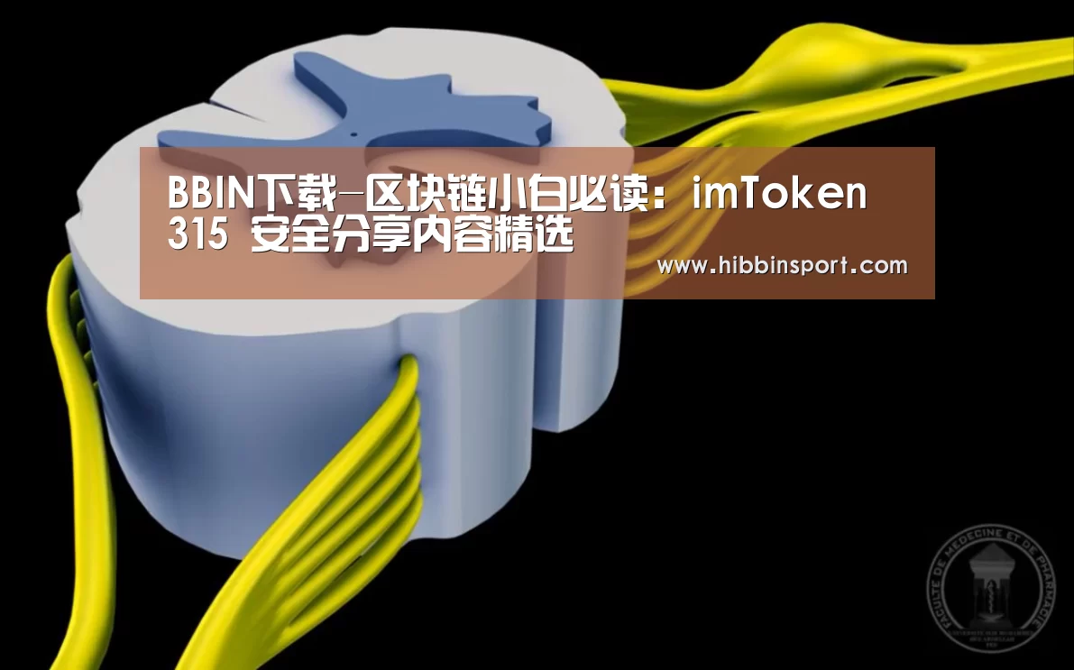 BBIN下载-区块链小白必读:imToken 315 安全分享内容精选(图1) BBIN入口