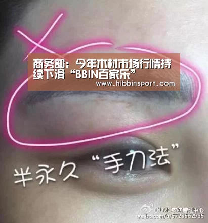 商务部:今年木材市场行情持续下滑“BBIN百家乐”(图3) BBIN入口