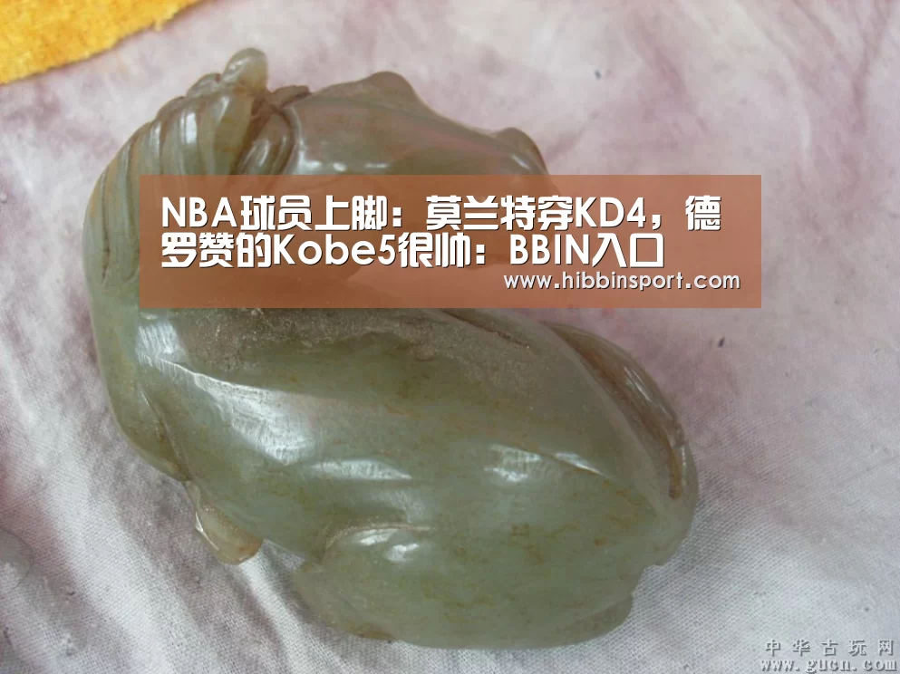 BBIN入口